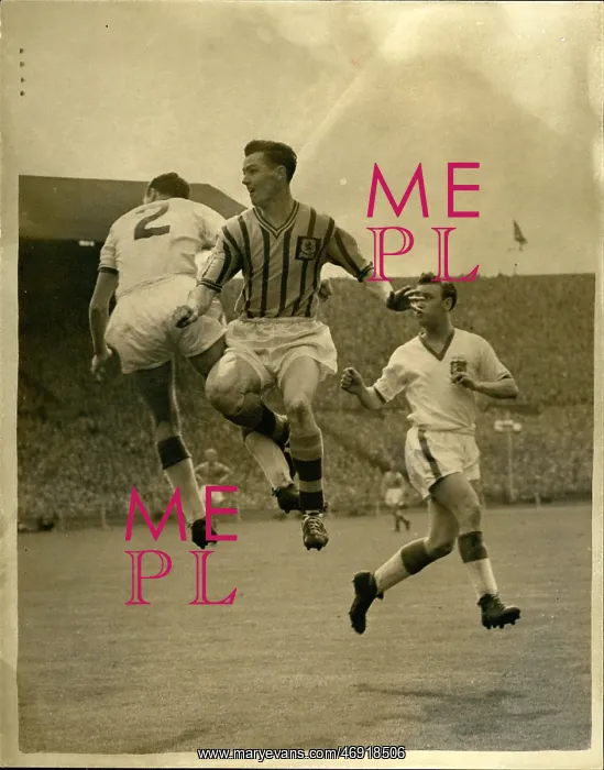 : Rugby - Soccer : Rugby - Soccer
