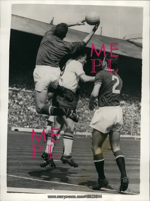 : Rugby - Soccer : Rugby - Soccer
