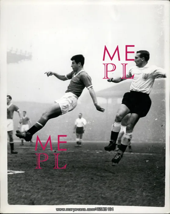: Rugby - Soccer : Rugby - Soccer