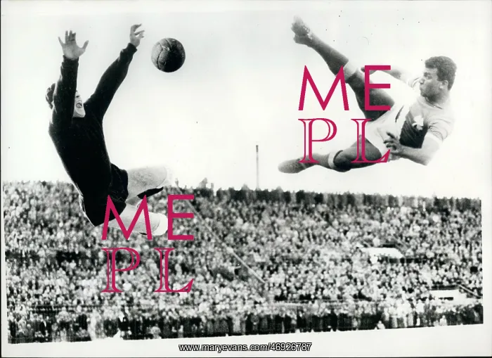 : Rugby - Soccer : Rugby - Soccer