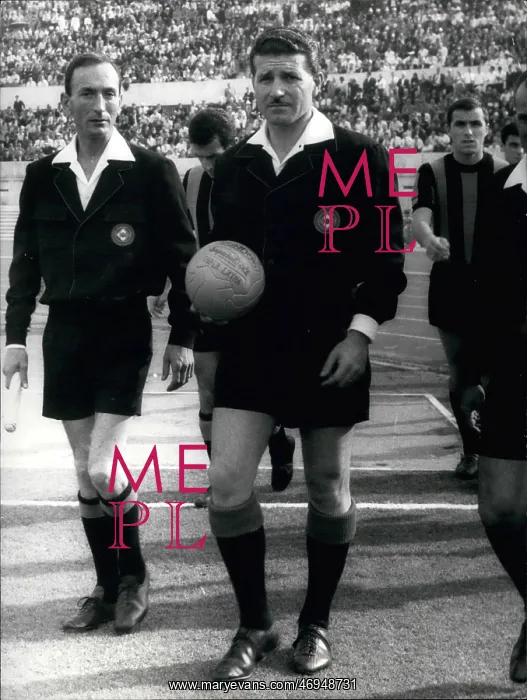 : Rugby - Soccer : Rugby - Soccer