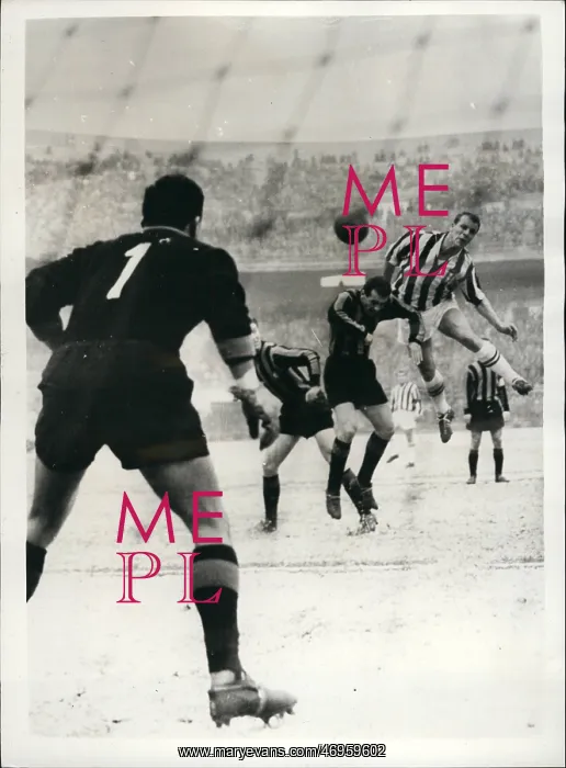 : Rugby - Soccer : Rugby - Soccer