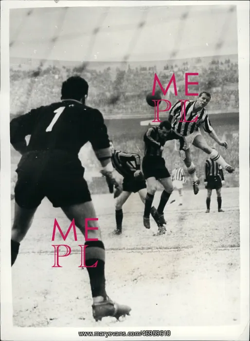 : Rugby - Soccer : Rugby - Soccer