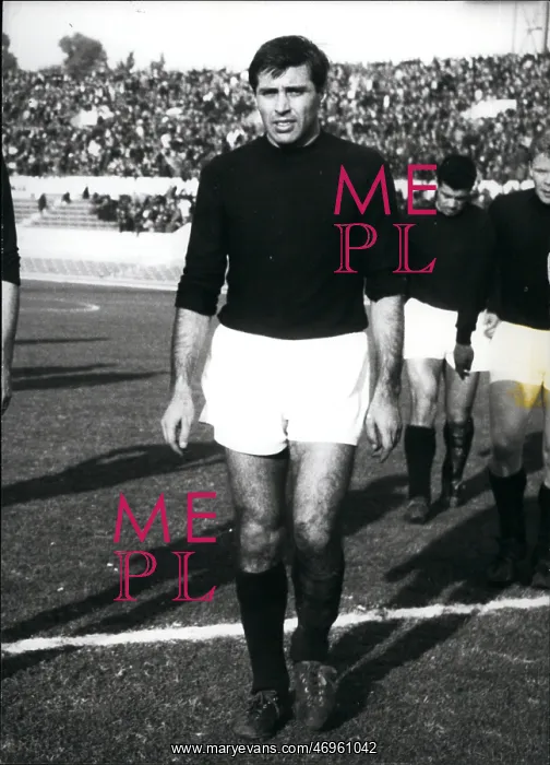 : Rugby - Soccer : Rugby - Soccer