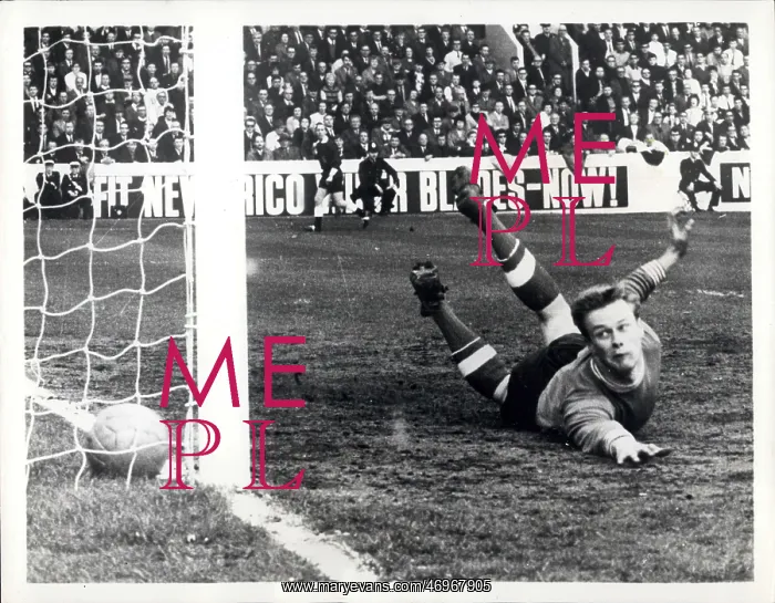: Rugby - Soccer : Rugby - Soccer