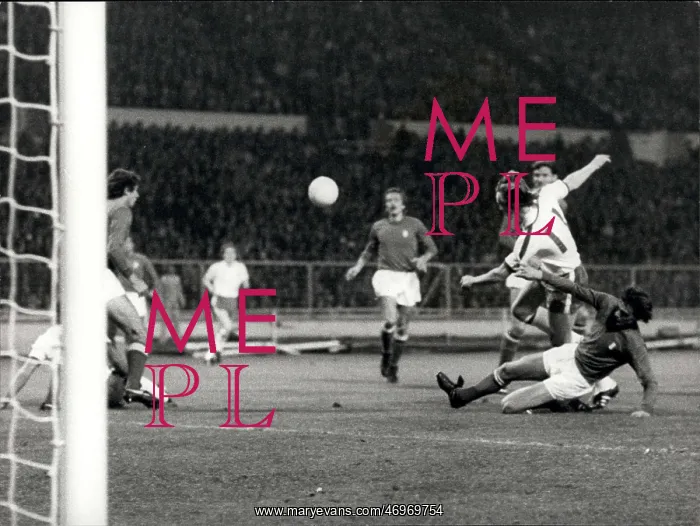 : Rugby - Soccer : Rugby - Soccer