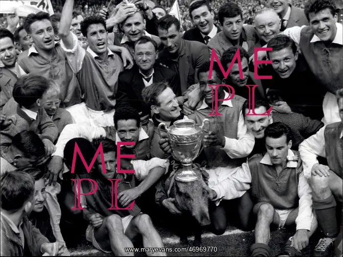 : Rugby - Soccer : Rugby - Soccer
