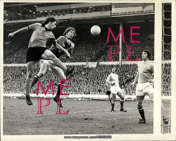 : Rugby - Soccer : Rugby - Soccer
