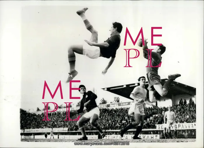 : Rugby - Soccer : Rugby - Soccer