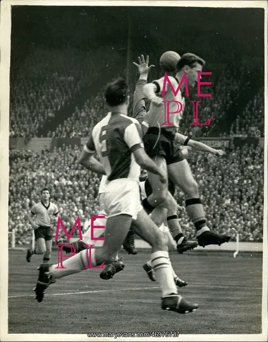 : Rugby - Soccer : Rugby - Soccer