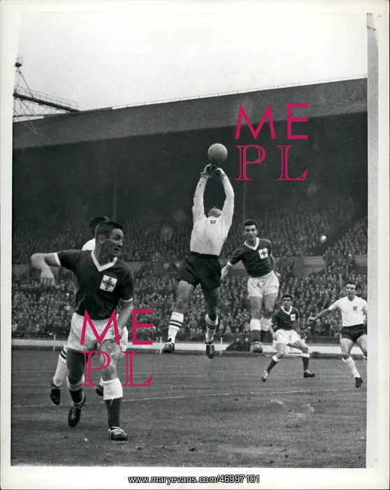 : Rugby - Soccer : Rugby - Soccer
