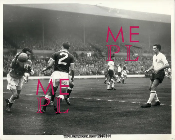 : Rugby - Soccer : Rugby - Soccer