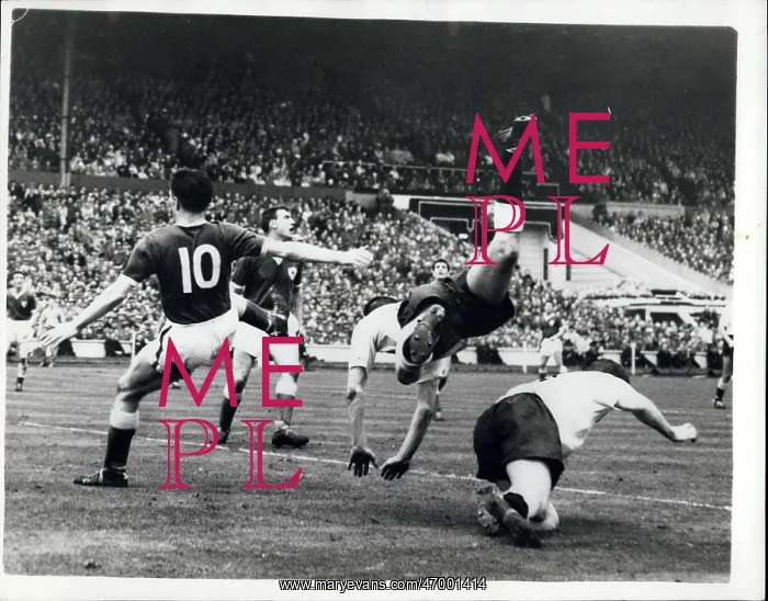 : Rugby - Soccer : Rugby - Soccer
