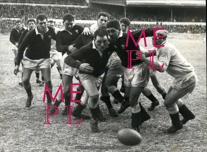 : Rugby - Soccer : Rugby - Soccer