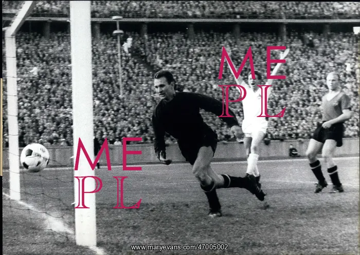 : Rugby - Soccer : Rugby - Soccer