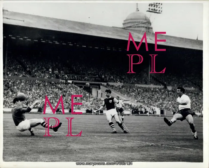 : Rugby - Soccer : Rugby - Soccer