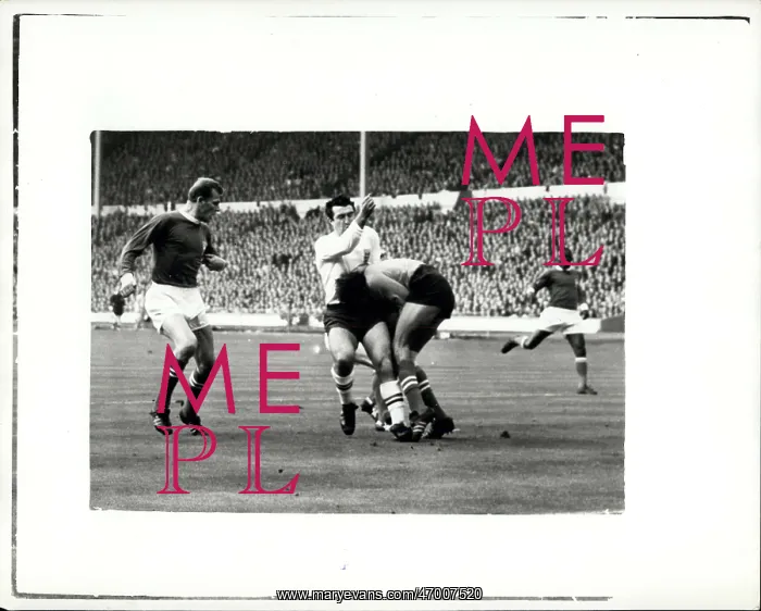 : Rugby - Soccer : Rugby - Soccer