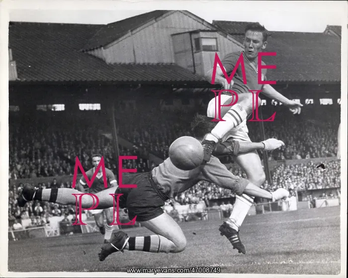 : Rugby - Soccer : Rugby - Soccer