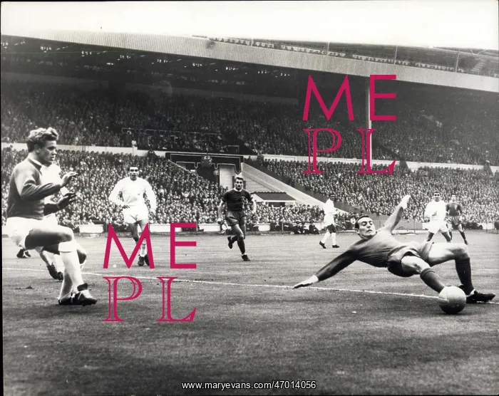 : Rugby - Soccer : Rugby - Soccer
