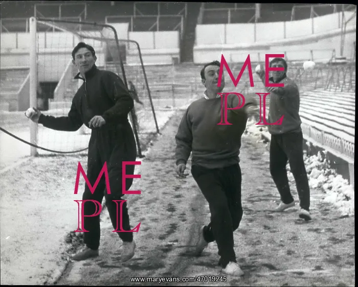 : Rugby - Soccer : Rugby - Soccer