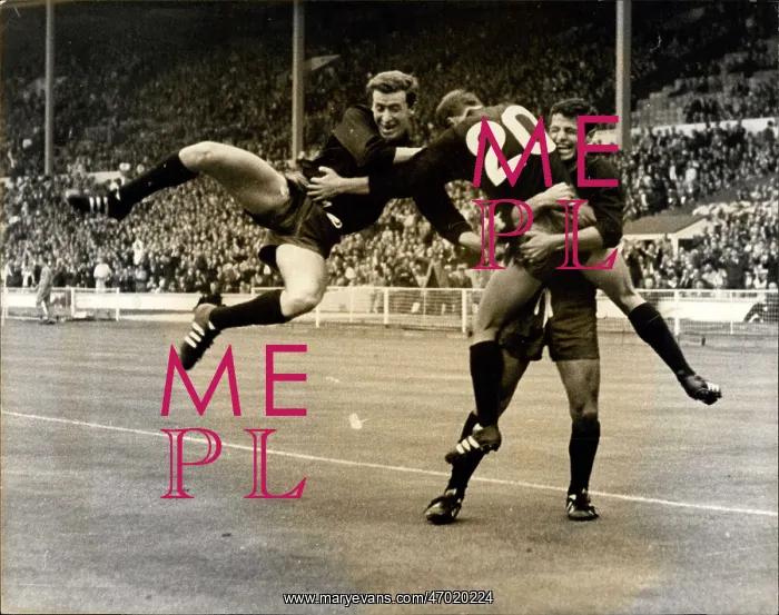 : Rugby - Soccer : Rugby - Soccer