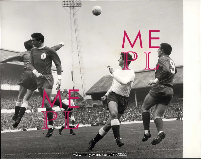 : Rugby - Soccer : Rugby - Soccer