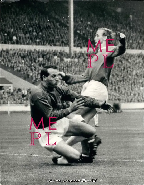: Rugby - Soccer : Rugby - Soccer