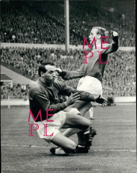 : Rugby - Soccer : Rugby - Soccer