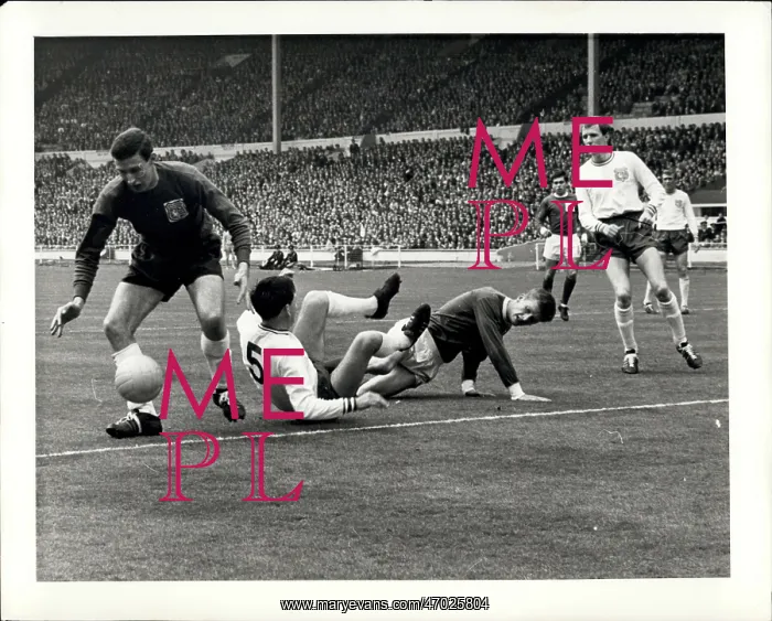 : Rugby - Soccer : Rugby - Soccer