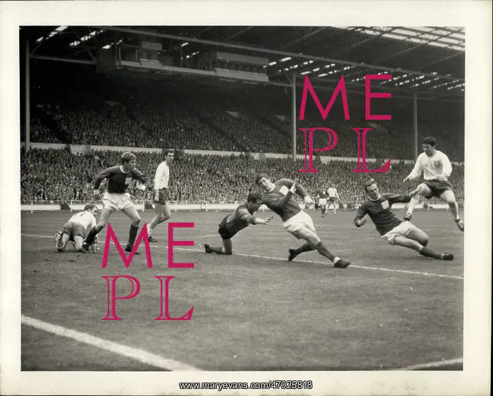 : Rugby - Soccer : Rugby - Soccer