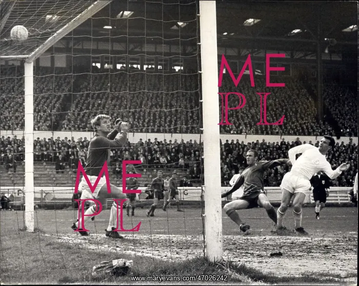 : Rugby - Soccer : Rugby - Soccer