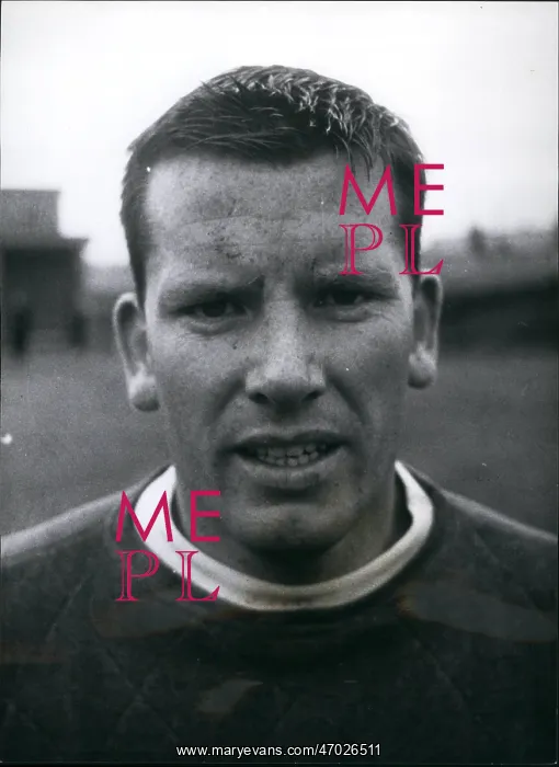 : Rugby - Soccer : Rugby - Soccer