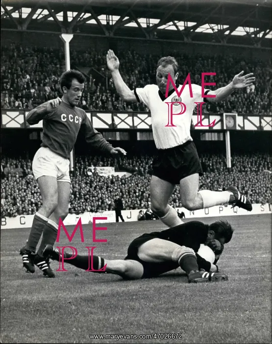 : Rugby - Soccer : Rugby - Soccer