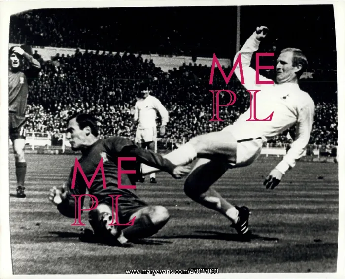 : Rugby - Soccer : Rugby - Soccer