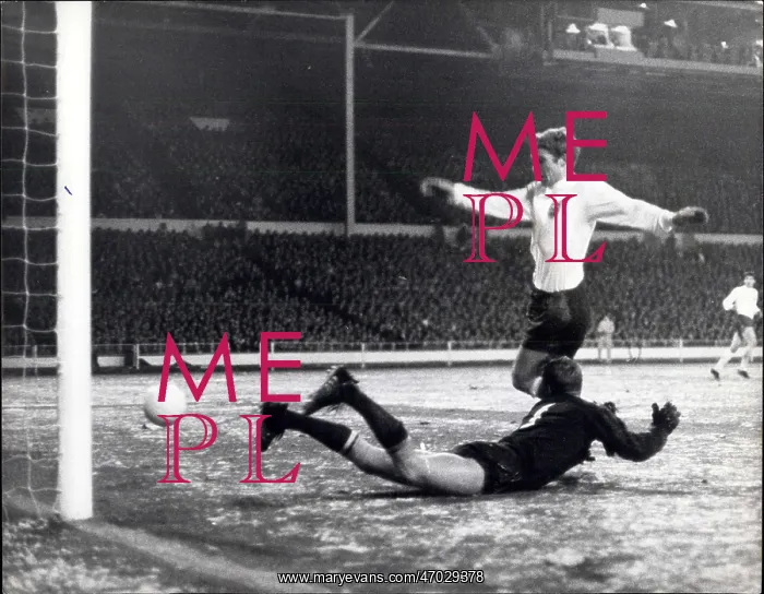 : Rugby - Soccer : Rugby - Soccer