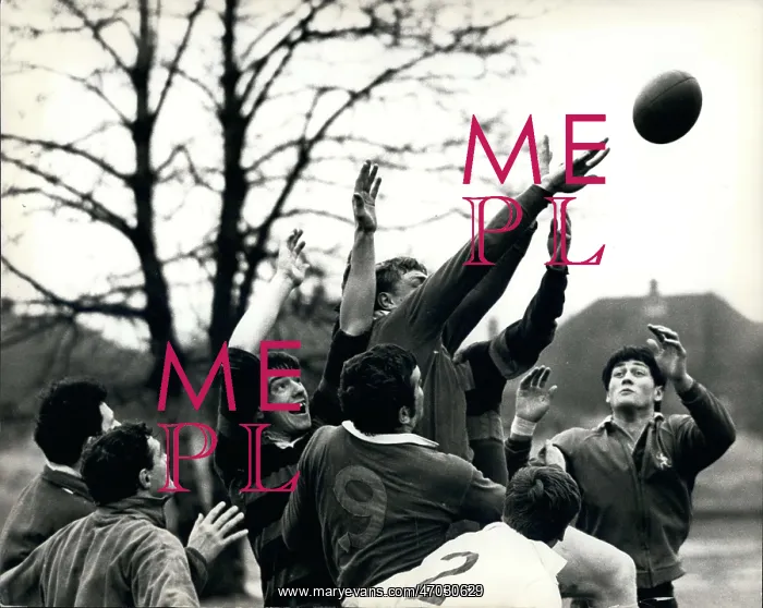 : Rugby - Soccer : Rugby - Soccer