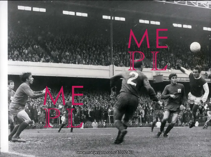 : Rugby - Soccer : Rugby - Soccer