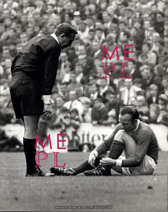 : Rugby - Soccer : Rugby - Soccer
