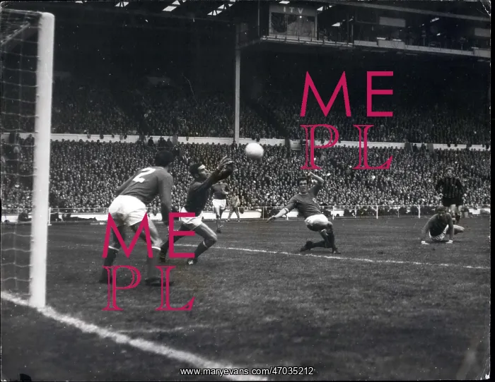 : Rugby - Soccer : Rugby - Soccer