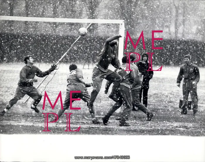 : Rugby - Soccer : Rugby - Soccer