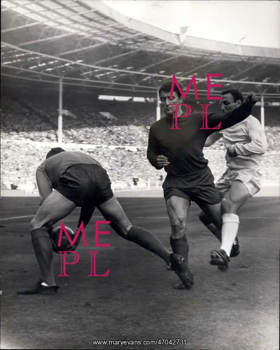 : Rugby - Soccer : Rugby - Soccer