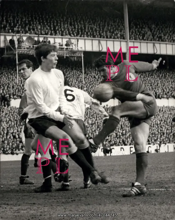 : Rugby - Soccer : Rugby - Soccer