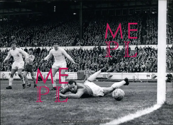 : Rugby - Soccer : Rugby - Soccer