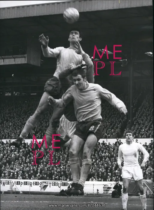 : Rugby - Soccer : Rugby - Soccer
