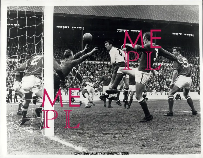  : Rugby - Soccer