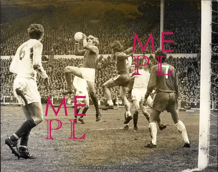 : Rugby - Soccer : Rugby - Soccer