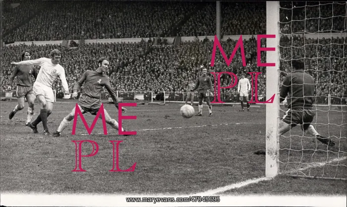 : Rugby - Soccer : Rugby - Soccer