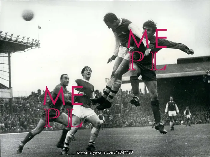 : Rugby - Soccer : Rugby - Soccer