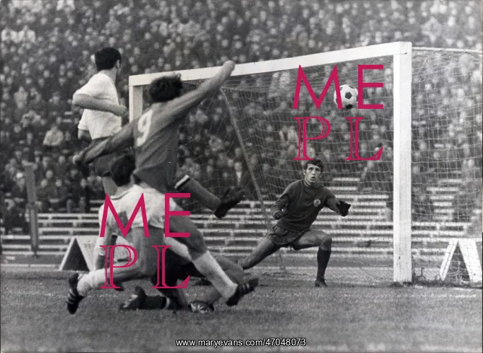 : Rugby - Soccer : Rugby - Soccer
