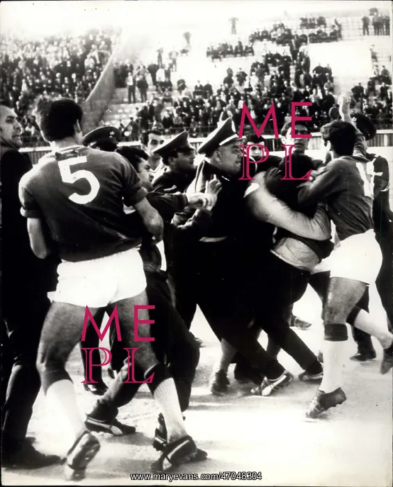 : Rugby - Soccer : Rugby - Soccer